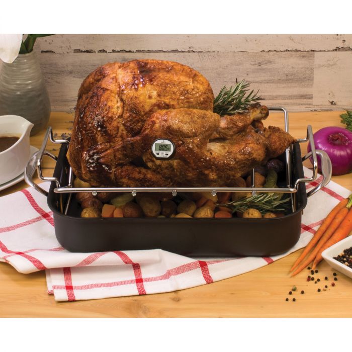 HIC Roasting Instant-Read Digital Meat Thermometer