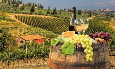 Torciano Wine Dinner - September 12, 2025