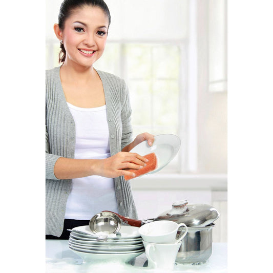 Peachy Clean Dish Scrubber